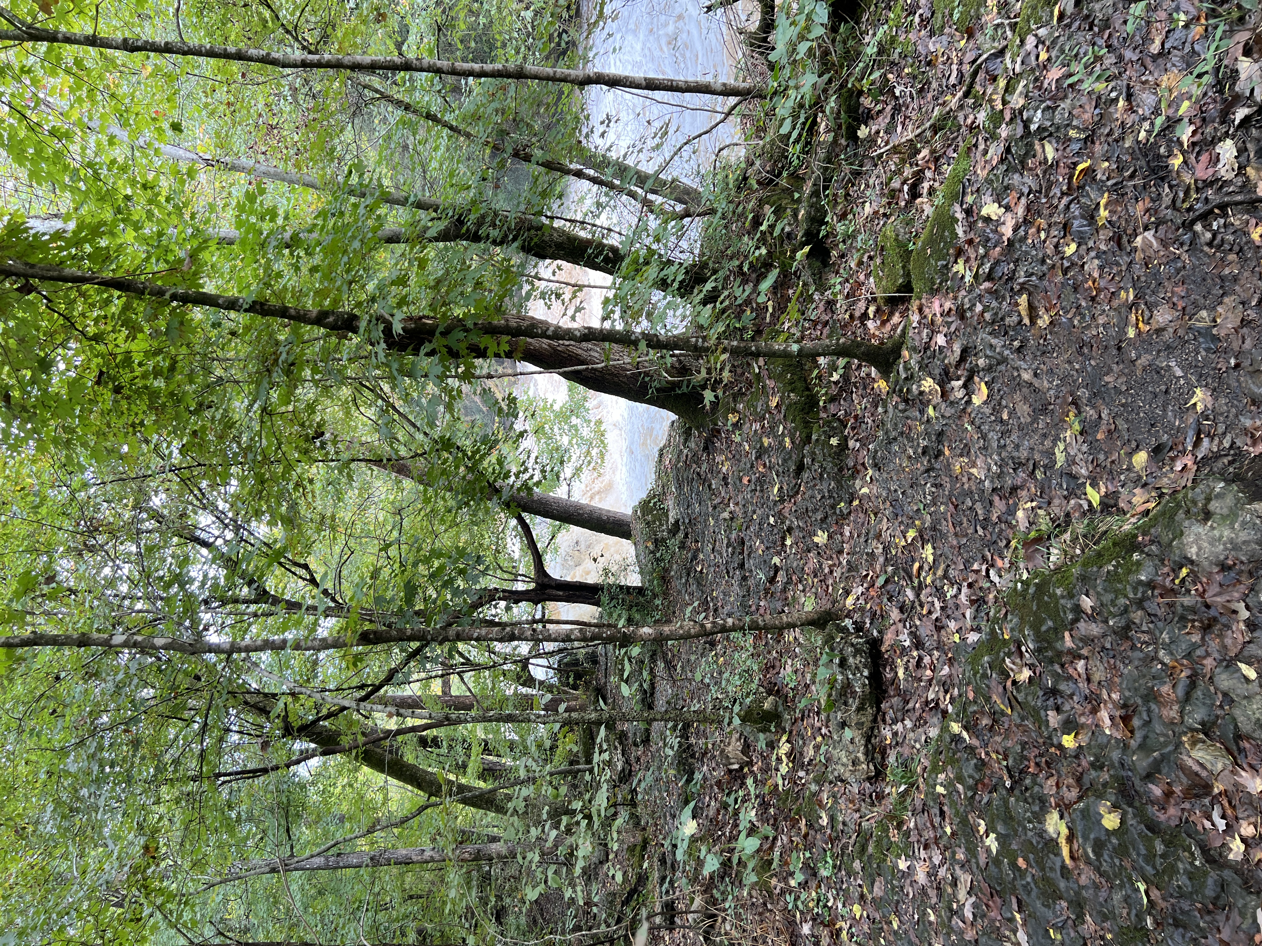 ./2025/11 - Nashville Trip/IMG_7272.JPG